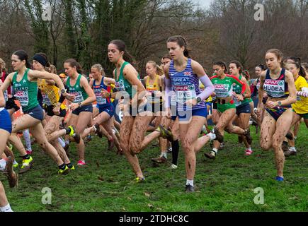 Katie Pye von Großbritannien & NI nahm am U20-Frauenrennen bei den SPAR-Cross-Country-Europameisterschaften im Laeken Park in Brüssel Teil Stockfoto