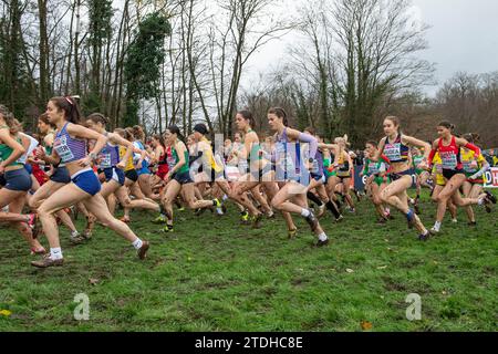 Katie Pye von Großbritannien & NI nahm am U20-Frauenrennen bei den SPAR-Cross-Country-Europameisterschaften im Laeken Park in Brüssel Teil Stockfoto