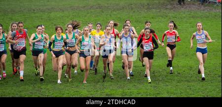 Katie Pye von Großbritannien & NI nahm am U20-Frauenrennen bei den SPAR-Cross-Country-Europameisterschaften im Laeken Park in Brüssel Teil Stockfoto