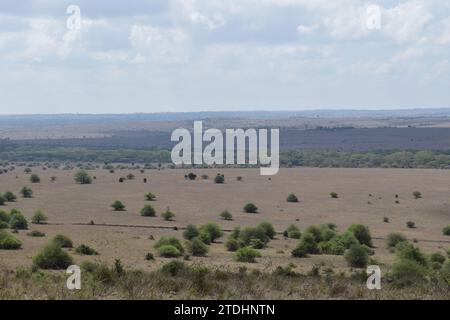 Malerischer Blick auf die Savannenlandschaft im Nairobi Nationalpark Stockfoto