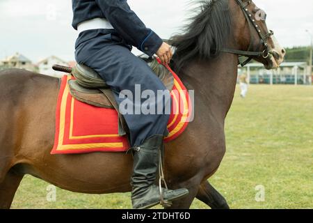 Reiter in Russland. Reiten. Militärtier. Details zum Nachweis der Fähigkeiten des Fahrers. Stockfoto