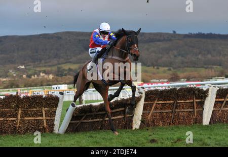 Rennen am Cheltenham Tag 2 des Christmas Meet Race 6 der Albert Bartlett-Neuling Carrigmoorna Rowan, geritten von Jonathan Burke, springt die 1 Stockfoto