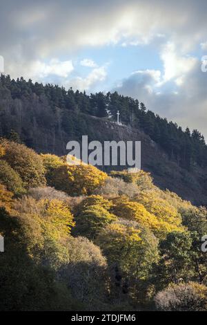 Avoca Miners Cross vom Meeting of the Waters, Co. Wicklow, Irland Stockfoto