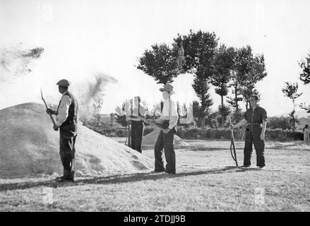 07/27/1936. Normalität im Feld. Die Arbeitermilizen überwachen, bewaffnen den Arm, die Arbeit der Bauern. Quelle: Album / Archivo ABC / Alfonso Sánchez García Alfonso Stockfoto