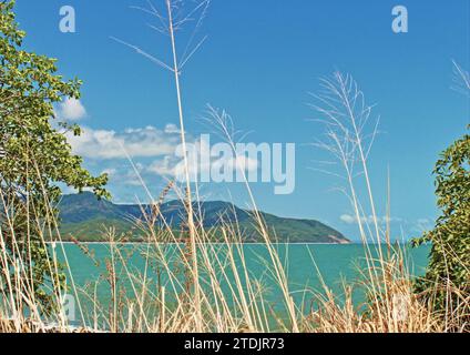 Wangetti Beach zum Rex Lookout durch trockenes einheimisches Gras auf der landschaftlich reizvollen Route entlang des Captain Cook Highway zwischen Cairns und Port Douglas Stockfoto