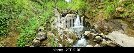 Panoramaaufnahme einer Kaskade von Wasserfällen und einem kleinen Steinrückwasser im Bett eines kleinen Flusses, der von den Bergen durch einen dichten Wald fließt Stockfoto