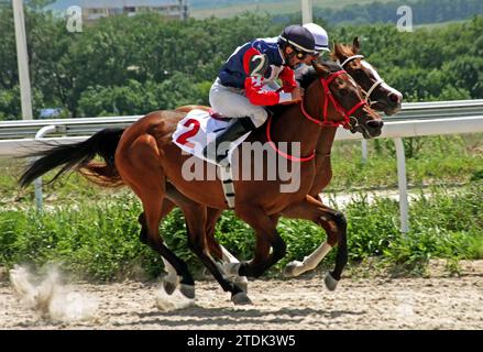 PJATIGORSK, RUSSLAND - 15. JULI 2023: Pferderennen um den Preis Prohorova im hippodrom Pjatigorsk, Nordkaukasus. Stockfoto