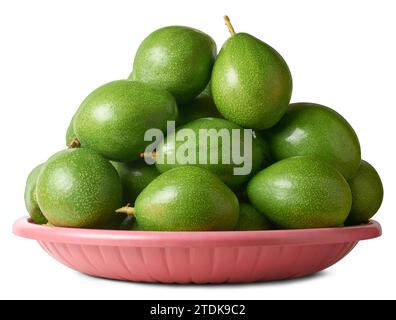 Dunkelgrüne Haut Avocados auf einem Tablett, alias Alligatorbirne oder Butterfrucht, nahrhafte frische Früchte für cremige Textur, milden Geschmack und zahlreiche Stockfoto