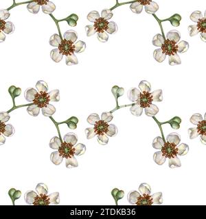 Nahtlose Muster mit leuchtenden Kiwi-Früchten, grünen Blättern und weißen blühenden Blumen für die Gestaltung von Stoffen, Textilien, Verpackungen, Verpackungen Stockfoto