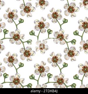 Nahtlose Muster mit leuchtenden Kiwi-Früchten, grünen Blättern und weißen blühenden Blumen für die Gestaltung von Stoffen, Textilien, Verpackungen, Verpackungen Stockfoto