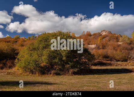 Targasonne Chaos, gebildet von Felsblöcken im Wald mit herbstlichen Farben (Haute Cerdagne, Pyrénées-Orientales, Okzitanien, Frankreich) Stockfoto