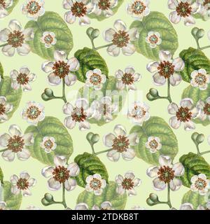 Nahtlose Muster mit leuchtenden Kiwi-Früchten, grünen Blättern und weißen blühenden Blumen für die Gestaltung von Stoffen, Textilien, Verpackungen, Verpackungen Stockfoto