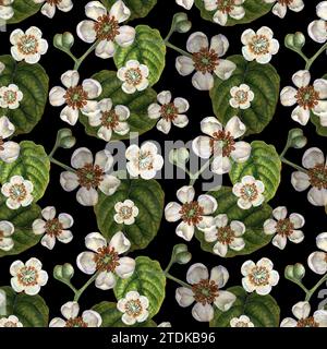 Nahtlose Muster mit leuchtenden Kiwi-Früchten, grünen Blättern und weißen blühenden Blumen für die Gestaltung von Stoffen, Textilien, Verpackungen, Verpackungen Stockfoto