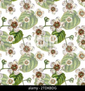 Nahtlose Muster mit leuchtenden Kiwi-Früchten, grünen Blättern und weißen blühenden Blumen für die Gestaltung von Stoffen, Textilien, Verpackungen, Verpackungen Stockfoto