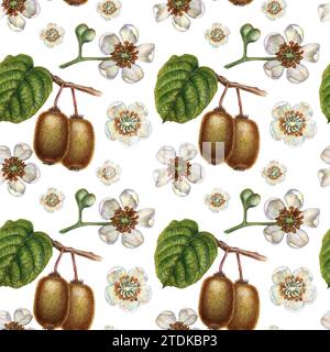 Nahtlose Muster mit leuchtenden Kiwi-Früchten, grünen Blättern und weißen blühenden Blumen für die Gestaltung von Stoffen, Textilien, Verpackungen, Verpackungen Stockfoto