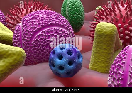 Mehrere Arten von Pollenkörnern im Lungengewebe - Nahaufnahme 3D-Illustration Stockfoto