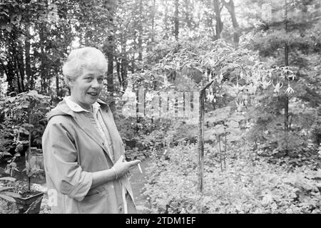 Mrs. Grainboom in Garten, Gärten und Parks, 10. 02.1985, Whizgle News aus der Vergangenheit, zugeschnitten auf die Zukunft. Erkunden Sie historische Geschichten, das Image der niederländischen Agentur aus einer modernen Perspektive, die die Lücke zwischen den Ereignissen von gestern und den Erkenntnissen von morgen überbrückt. Eine zeitlose Reise, die die Geschichten prägt, die unsere Zukunft prägen Stockfoto