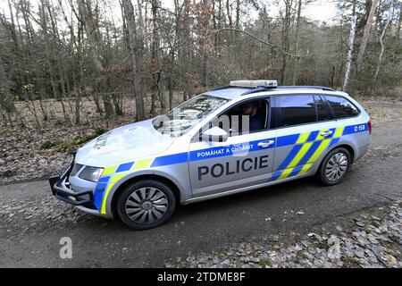 Prag, Tschechische Republik. Dezember 2023. Dutzende Polizisten durchkämmen den Wald von Klanovice, Prag, Tschechische Republik seit dem Morgen des 19. Dezember 2023. Der Grund für die Sicherheitsdurchsuchung ist Doppelmord vom 15. Dezember. Zwei Menschen, einer davon ein Kind, wurden tot im Stadtteil Klanovice am östlichen Stadtrand von Prag aufgefunden. Quelle: Josef Vostarek/CTK Photo/Alamy Live News Stockfoto