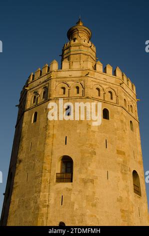 Tower of Gold. Sevilla. Andalusien. Spanien. Stockfoto