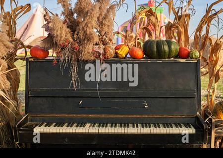 Altes kaputtes Klavier, dekoriert mit trockenen Grashalmen und Kürbissen am warmen Herbsttag. Vorderansicht der Heuballen, Kürbisse und Maisstängel schmücken das schwarze Klavier im Herbst. Konzept der Herbstschönheit. Stockfoto