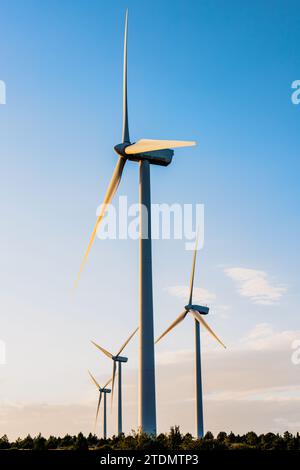 Windenergieanlagen aus erneuerbaren Energien Stromerzeugung in Maranchon, Guadalajara Stockfoto