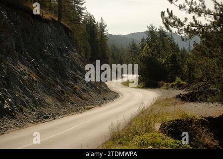 Bergstraße im Tara-Nationalpark, Mitrovac na Tari, Serbien Stockfoto