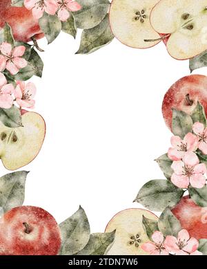 Aquarellblühende Äste des Apfelbaums, Rahmen für grüne und rote reife Äpfel. Handgezeichnete Apfelscheiben Illustration für Saftpackung, Karte, Einladung, Tags Stockfoto