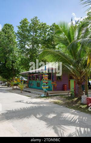 Farbenfrohe Souvenirladen aus Holz für Touristen am Strand von Anse Serious, La Digue Island, den Seychellen, dem Indischen Ozean, Afrika Stockfoto