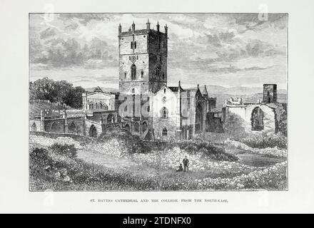 St. David's Cathedral and the College aus dem Buch Cathedrals, Abbeys and Church of England and Wales: Deskriptive, Historical, Pictorial Volume 1 von Bonney, T. G. (Thomas George), 1833–1923; Publisher London : Cassell 1890 Stockfoto