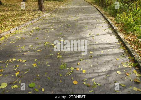 Wunderschöne Natur Herbstlandschaft. Blick auf den Herbst-Stadtpark mit goldgelbem Laub an bewölktem Tag. Spaziergänge im Stadtpark mit herbstlich gefallenen Blättern Stockfoto