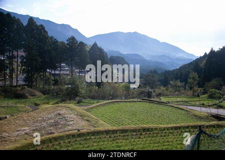 Reisfelder mitten in den Bergen der Präfektur Wakayama in Japan. Stockfoto