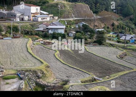 Reisfelder mitten in den Bergen der Präfektur Wakayama in Japan. Stockfoto