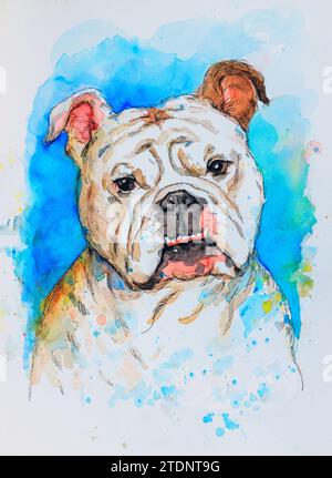 Porträt einer englischen Bulldogge. Künstlerische bunte Aquarellzeichnung auf blauem und weißem Hintergrund. Hundetierkonzept. Stockfoto