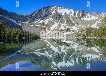 der torrey-Berg spiegelt sich im torrey-See in den Pionierbergen bei polaris, montana Stockfoto