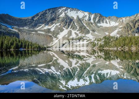 der torrey-Berg spiegelt sich im torrey-See in den Pionierbergen bei polaris, montana Stockfoto