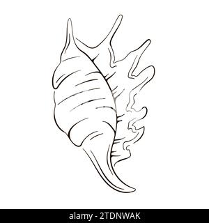 Handgezeichnetes Muschellogo im Linienart-Stil. Vektorillustration auf weißem Hintergrund isoliert. Stock Vektor
