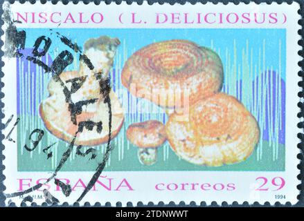 Gestempelte Briefmarke, gedruckt von Spanien, die für Milk Cap Mushroom (Lactarius Deliciosus) wirbt, um 1994. Stockfoto