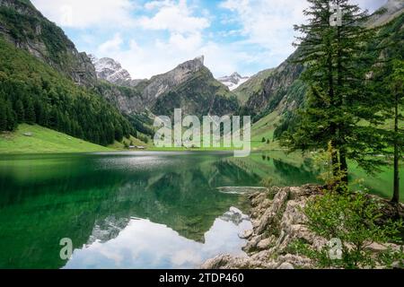 Wunderschöner Aussichtspunkt auf den Seealpsee im Alpsteingebirge im Sommer in Appenzell, Schweiz Stockfoto