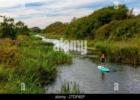 Paddle Boarder am Royal Military Canal Sandgate nahe Hythe in Kent England, Großbritannien, wurde 1809 als Verteidigungswasserstraße während der Napoleonischen Kriege eröffnet. Stockfoto