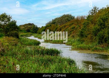 Der Royal Military Canal bei Sandgate in der Nähe von Hythe in Kent England wurde 1809 als Verteidigungswasserstraße während der Napoleonischen Kriege eröffnet. Stockfoto