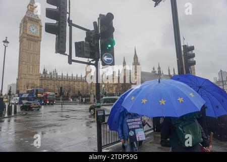 London, Vereinigtes Königreich. Dezember 2023. Wetter in Großbritannien – Pro-EU-Demonstranten trotzen dem miserablen Wetter. Quelle: Uwe Deffner/Alamy Live News Stockfoto