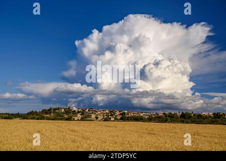 Eine Cumulonimbuswolke aus einem Sturm bildete sich an einem Frühlings-/Sommernachmittag über dem Gebiet Pla de Mallorca (Mallorca, Balearen, Spanien) Stockfoto