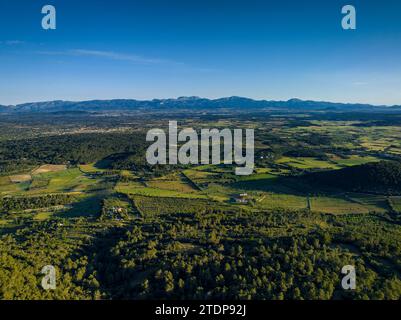 Aus der Vogelperspektive auf Wälder und Felder in der Nähe der Städte Randa und Algaida an einem Frühlingsmorgen. Im Hintergrund die Berge der Serra de Tramuntana Stockfoto