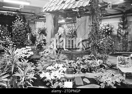 Blumenausstellung Aalsmeer, Blumenausstellung, 07-11-1968, Whizgle News from the Past, Tailored for the Future. Erkunden Sie historische Geschichten, das Image der niederländischen Agentur aus einer modernen Perspektive, die die Lücke zwischen den Ereignissen von gestern und den Erkenntnissen von morgen überbrückt. Eine zeitlose Reise, die die Geschichten prägt, die unsere Zukunft prägen Stockfoto