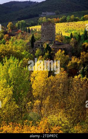 Altes Bauernhaus (typisches Haus) mit Turm zwischen Wäldern und Weinbergen. Chianti-Landschaft. Panzano, Toskana, Italien. Stockfoto