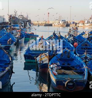 Blaue Fischerboote mit Möwen und Einheimischen, die in der Stadt Essaouira, Marokko, arbeiten. Dezember 2023 Stockfoto