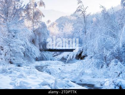 Brücke über frostige Winterlandschaft, schneller Gebirgsfluss fließt und schwingt unter Eis und Schnee im Wald nach einem Schneefall. Stockfoto