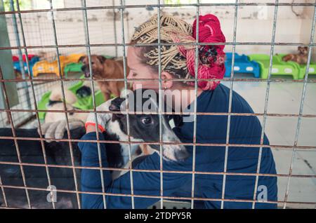 Ein junges Mädchen streichelt einen streunenden Hund im Tierheim. Menschen, Tiere, Freiwilligentätigkeit Und Hilfestellung. Stockfoto