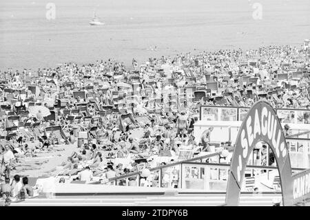 Geschäftiger Strand Zandvoort, geschäftig, Strand und Strände, Zandvoort, 06-08-1988, Whizgle News aus der Vergangenheit, zugeschnitten auf die Zukunft. Erkunden Sie historische Geschichten, das Image der niederländischen Agentur aus einer modernen Perspektive, die die Lücke zwischen den Ereignissen von gestern und den Erkenntnissen von morgen überbrückt. Eine zeitlose Reise, die die Geschichten prägt, die unsere Zukunft prägen Stockfoto