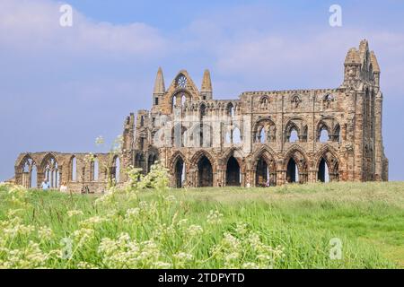 Ein Blick auf Whitby Abbey in Yorkshire mit seinen verfallenen Fenstern, Säulen und Bögen Stockfoto